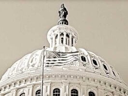 Global Citizens призывает лидеров политических партий, представленных в Конгрессе США, в качестве жеста доброй воли, содействовать реализации инициативы "Вернем их домой живыми"